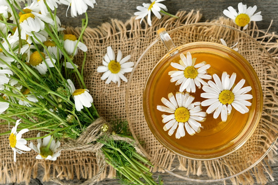 Ромашковий чай в поєднанні з медом та липою - чудодійний засіб при застуді