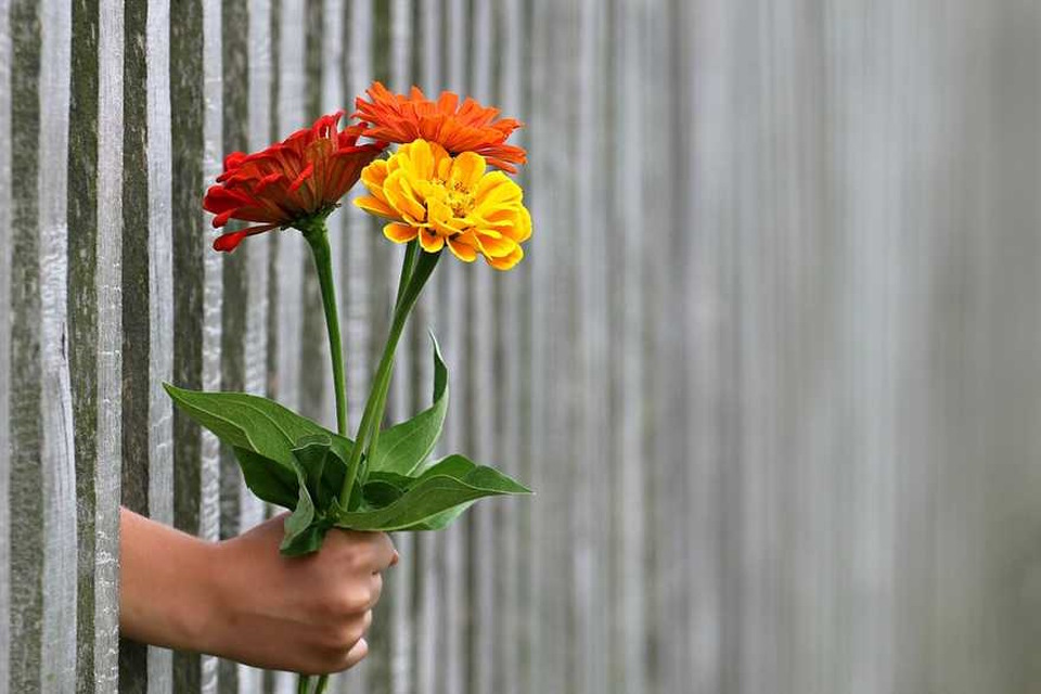 8 березня чоловіки дарують приємні подарунки жінкам. Найпопуляніші - квіти. Фото - comments.ua